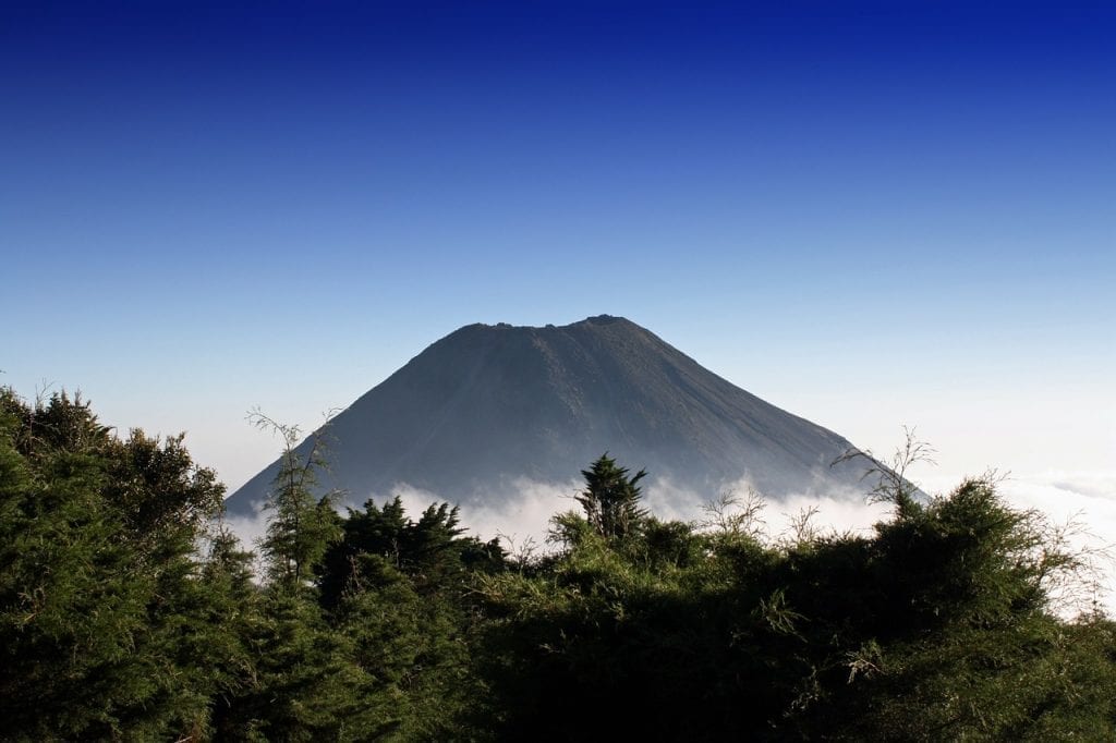 14 Enchanting Facts About El Salvador | Fact City
