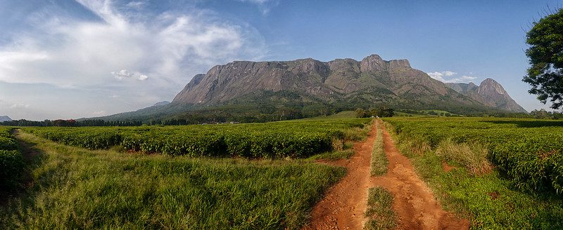 Malawi landscape