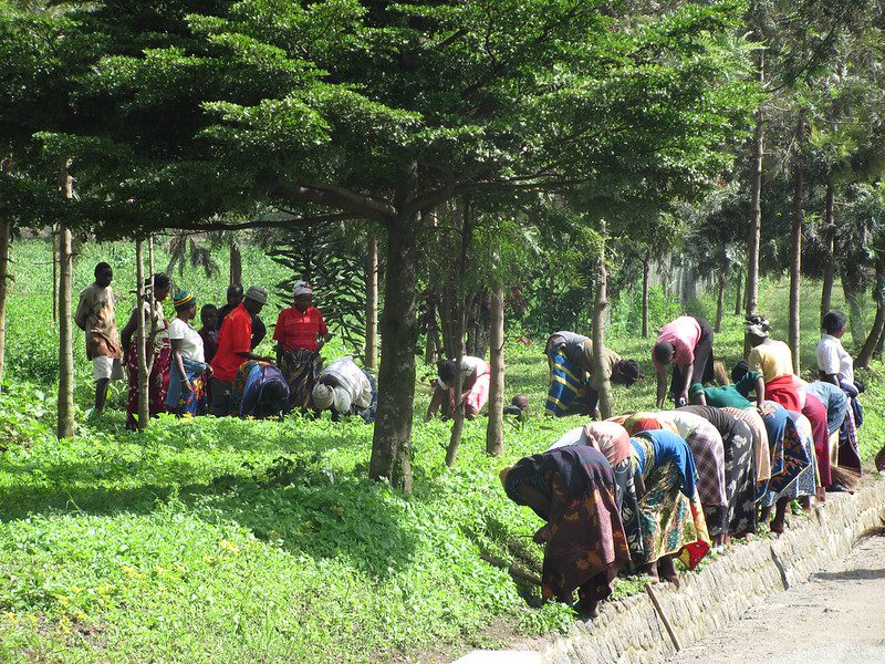 Labor Day in Rwanda