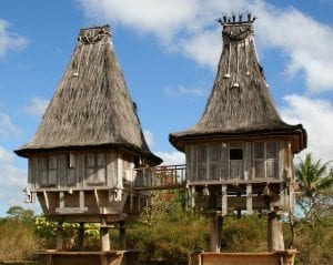 fun facts about Timor Leste