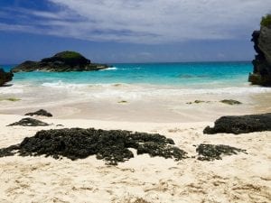 interesting facts about Bermuda