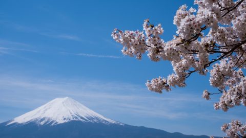 interesting facts about Japan