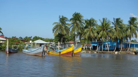interesting facts about Suriname