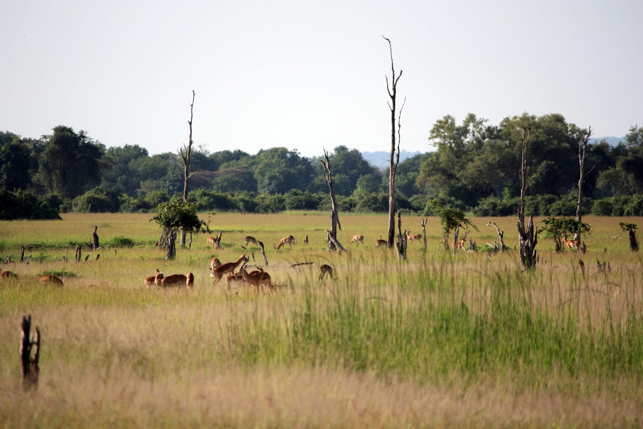 18 Zesty Facts About Zambia - Fact City