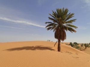 interesting facts about mauritania