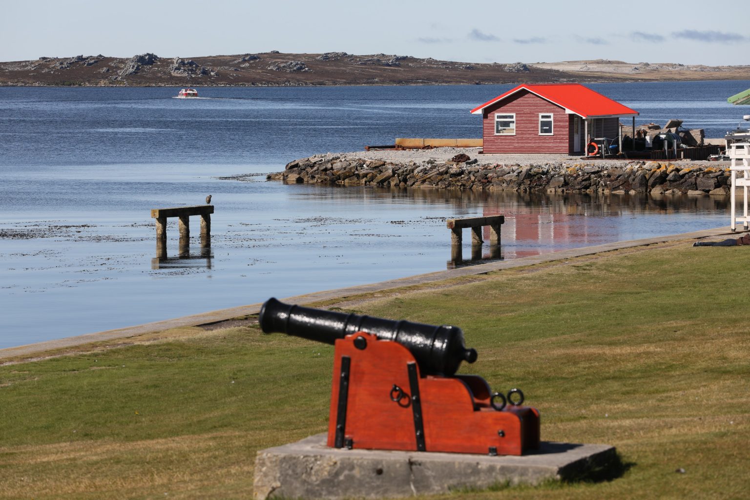 🇫🇰 15 Fascinating Facts about the Falkland Islands Fact City