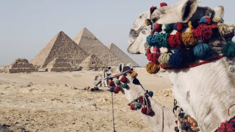 Interesting facts about Egypt