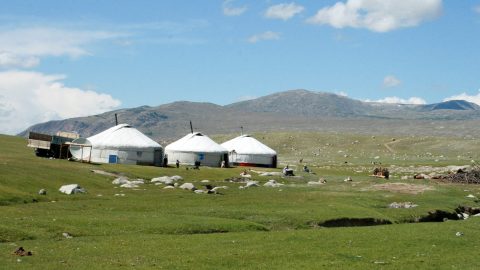 fun facts about Mongolia