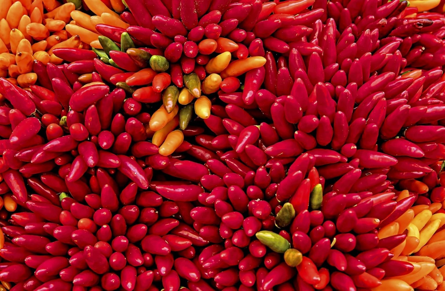 43 Mind Blowing Facts About Mexico Fact City