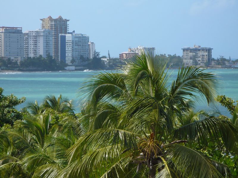 Puerto Rican landscape