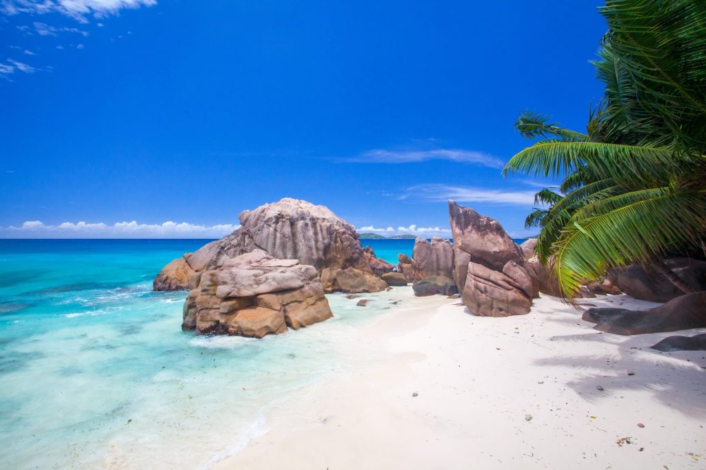 interesting facts about Seychelles