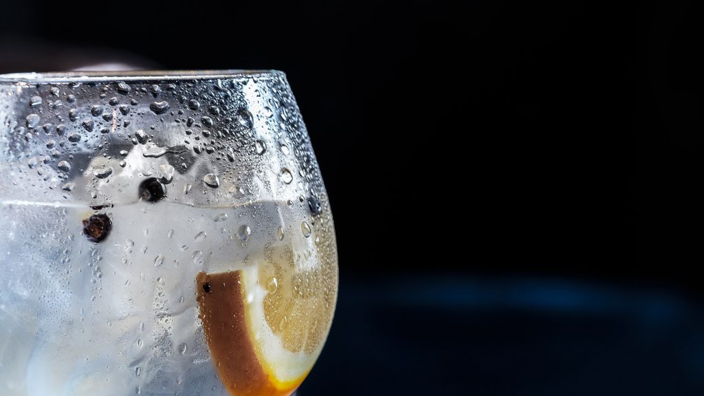 interesting facts about gin