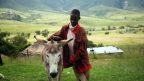 intersting facts about Lesotho