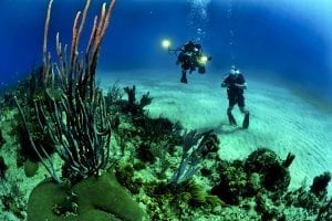scuba divers with camera equipment and lighting