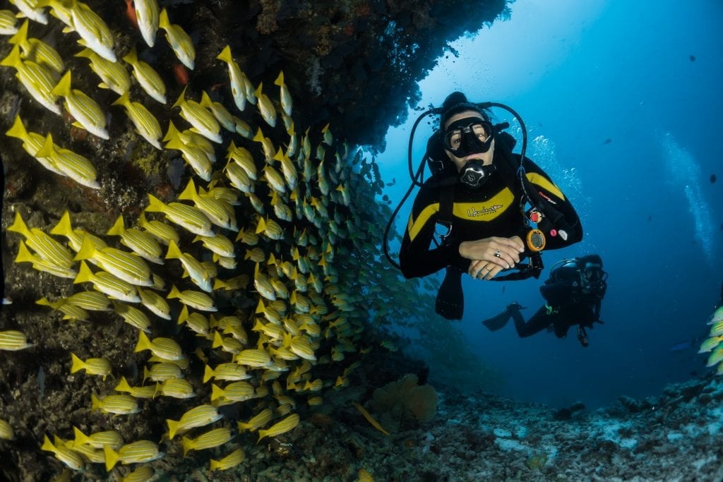 29 Seriously Fun Facts About Scuba Diving Fact City