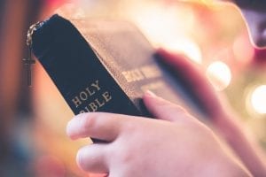 interesting facts about the bible