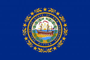 The New Hampshire State Flag