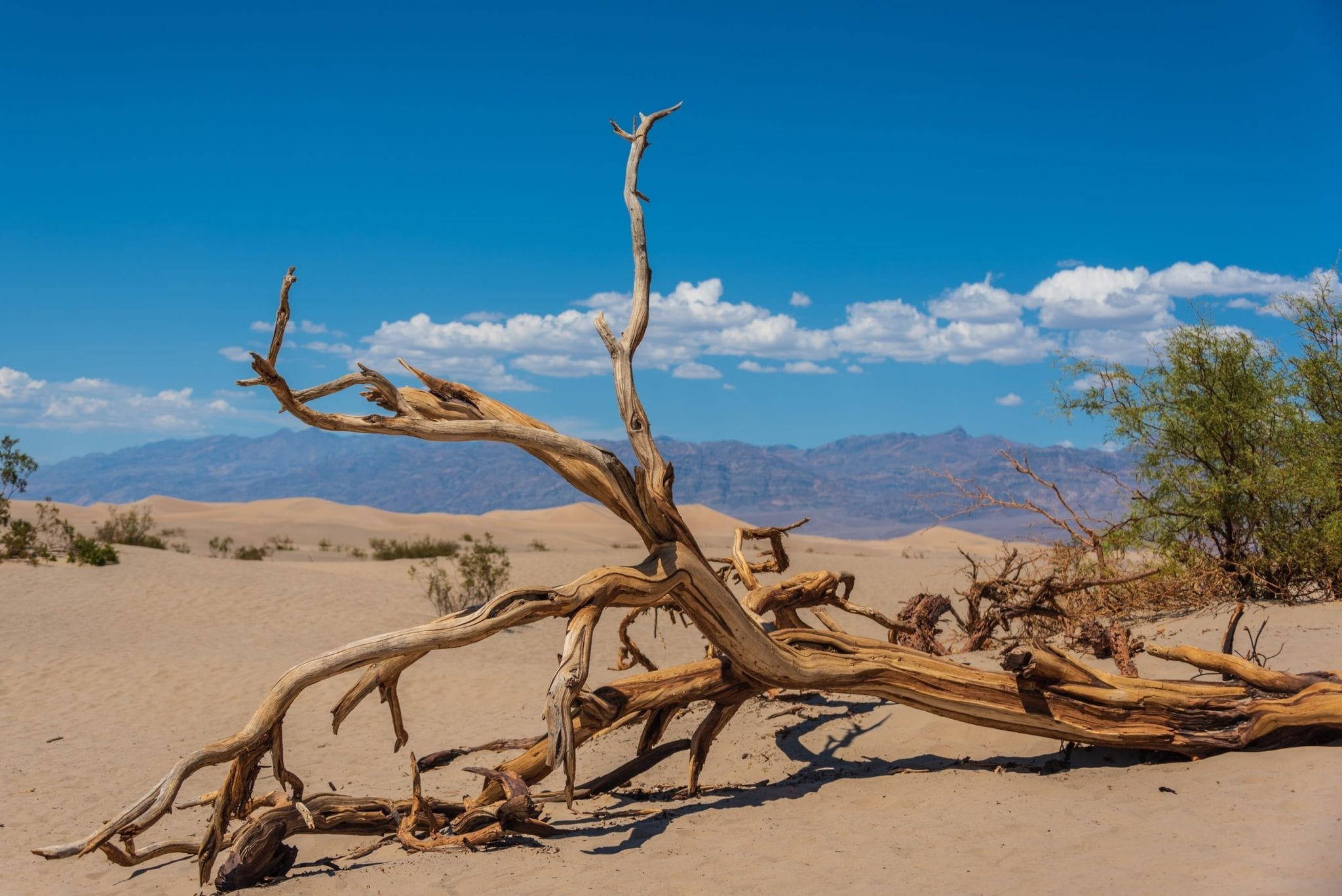 11 Sizzling Facts About Death Valley Fact City