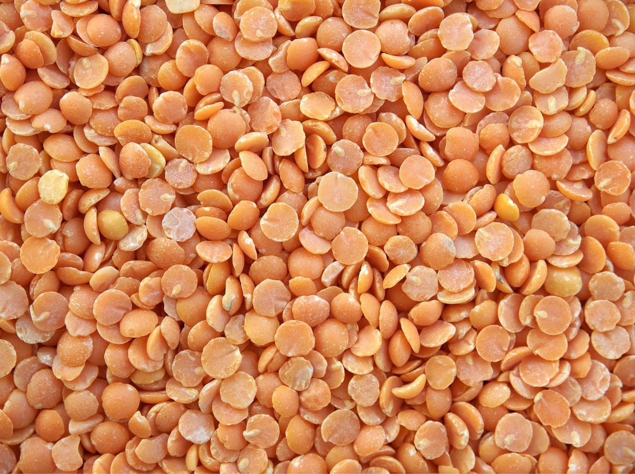 14 Yummy Facts About Lentils Fact City 14-yummy-facts-about-lentils-fact-city