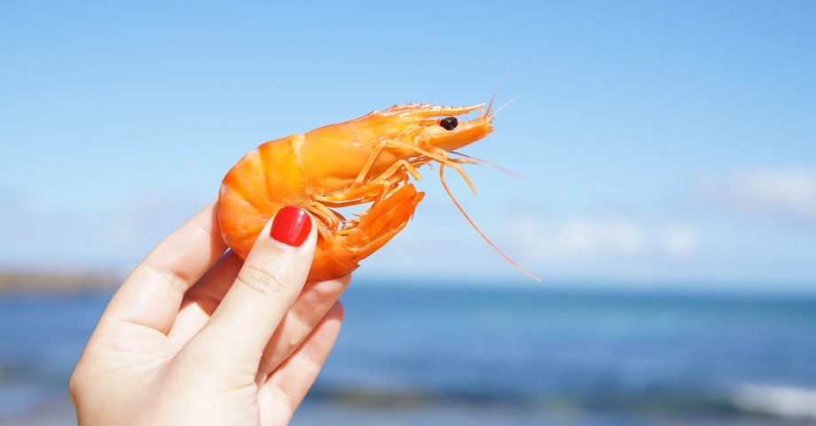nutrition facts about Shrimp