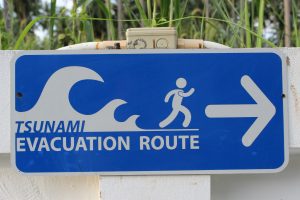 Fun Facts about Tsunamis