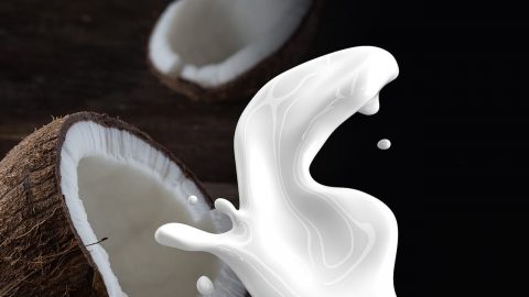 facts about coconut milk