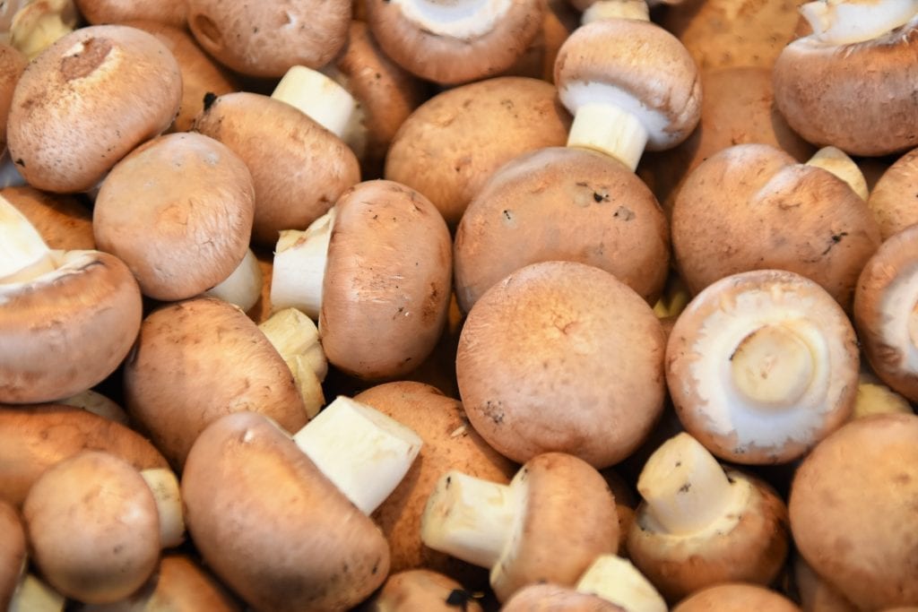 10 Magical Facts About Mushroom Nutrition Fact City