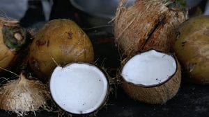 interesting facts about coconut milk