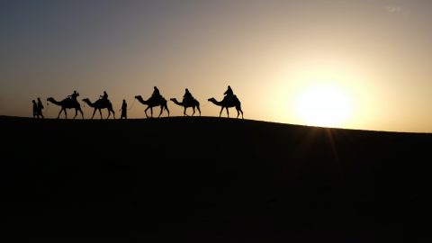 interesting facts about the Sahara Desert