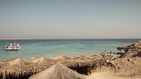 The Sinai Coast, Red Sea