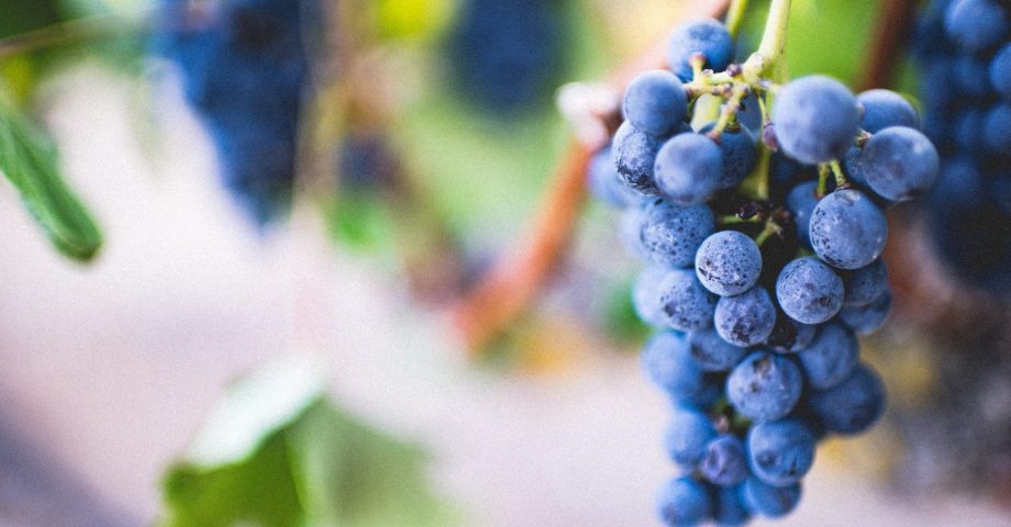 nutrition facts for grapes