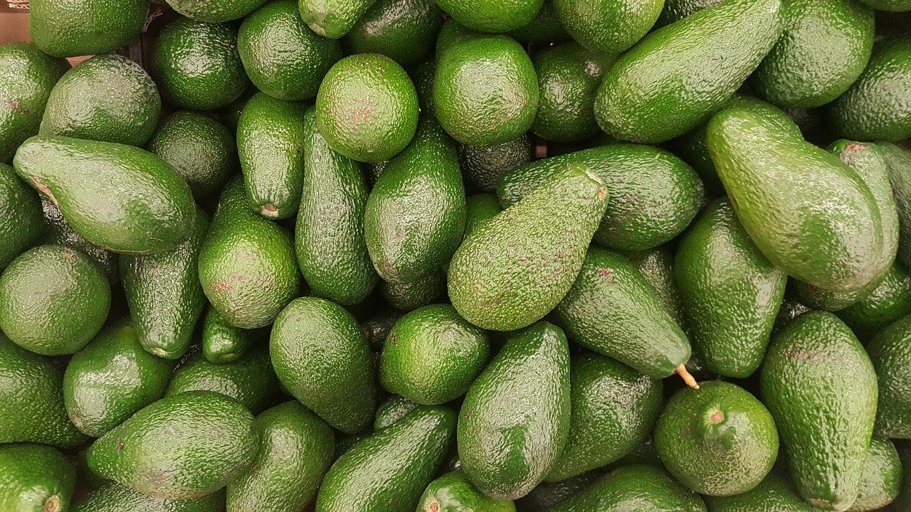 31 Fun Facts About Avocado - Fact City