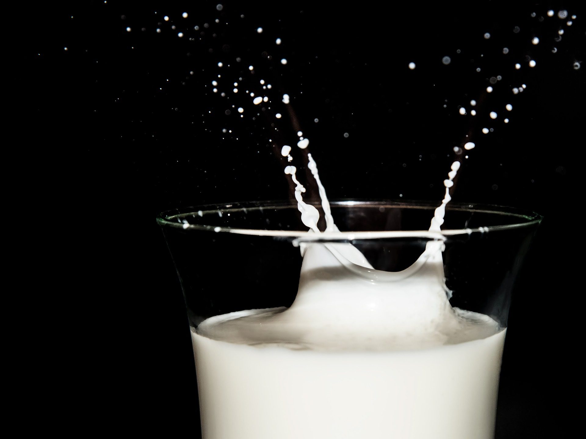 11 Must Know Facts About Milk - Fact City