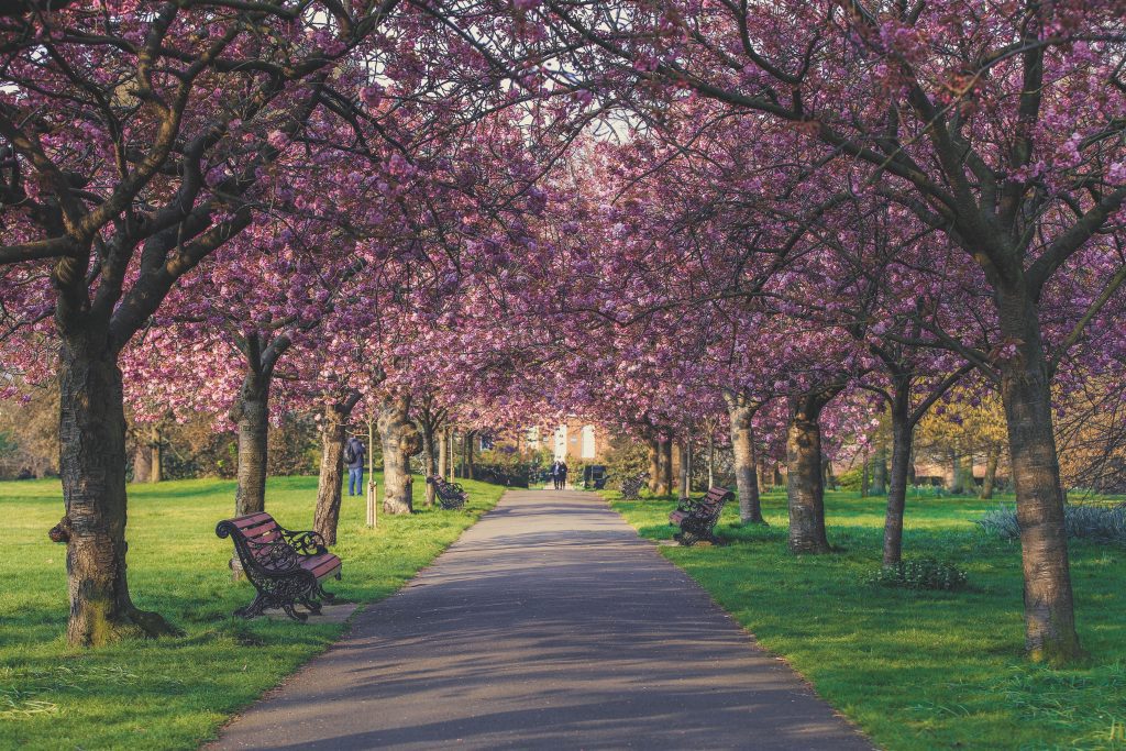 A London park in May