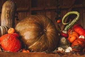 Autumnal harvest vegetables 