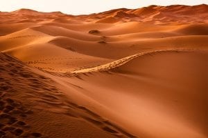 The never ending sand dunes of the Sahara Desert