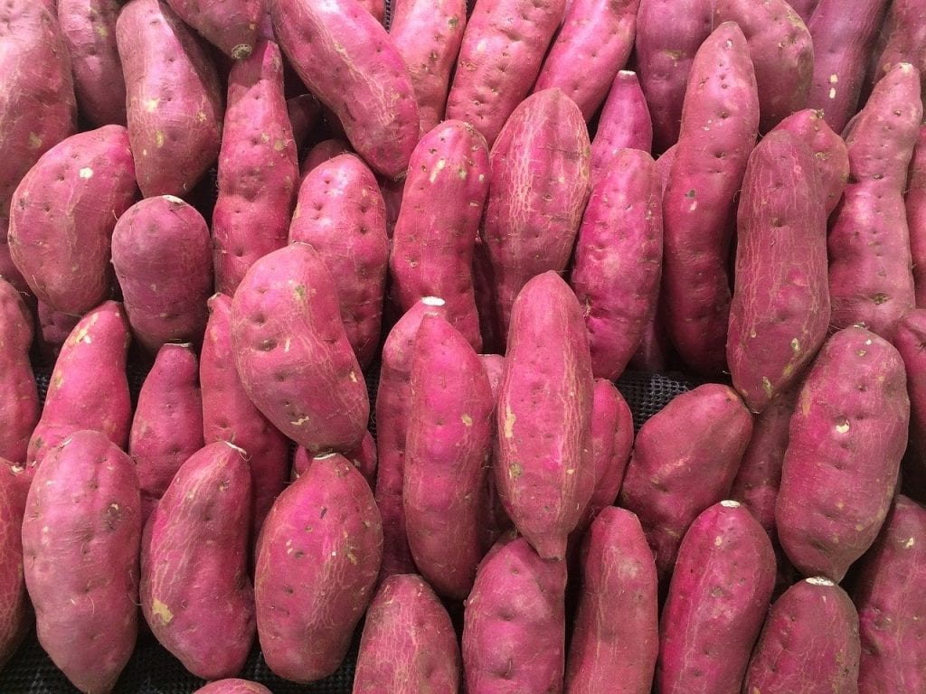 16 Super Facts about Sweet Potatoes Fact City