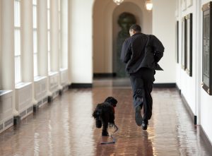 President Obama and the family dog, Bo