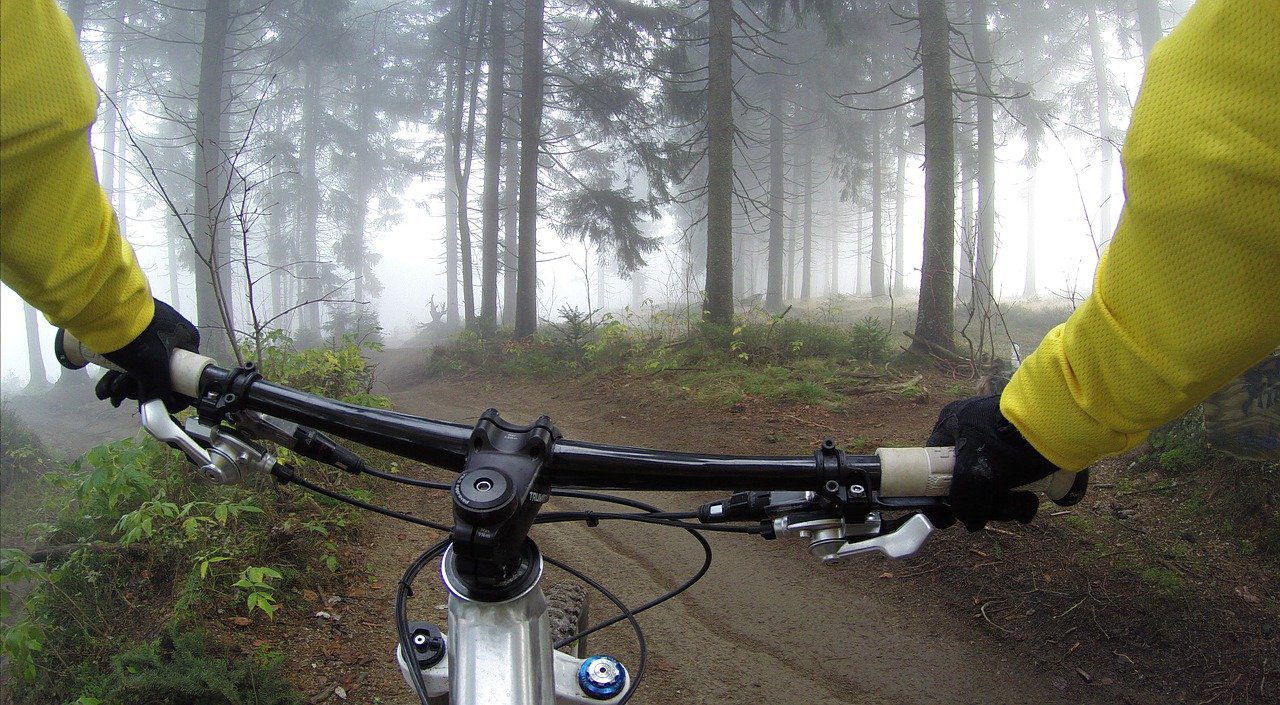 gravel riding through the forest