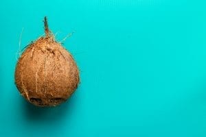 facts about coconut milk