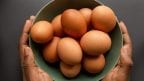 facts about egg