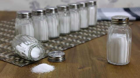 facts about salt