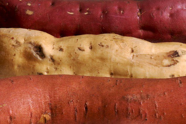 11 Super Facts About Sweet Potatoes Fact City