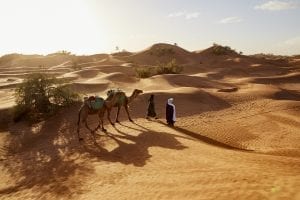 A camel caravan, crossing the Sahara Desert