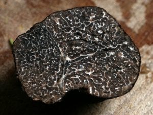A black truffle 