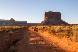 interesting facts about Utah