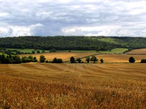 Facts about Buckinghamshire