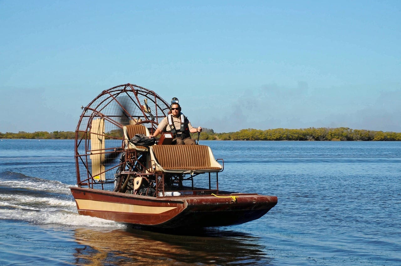 11 Wild Facts About The Florida Everglades Fact City