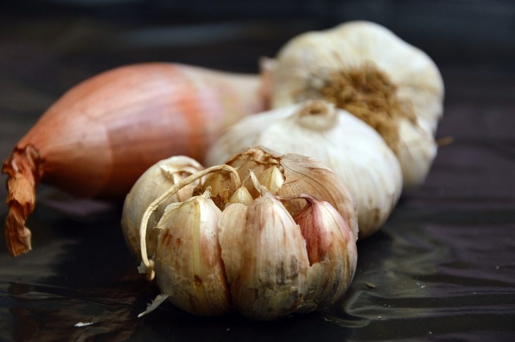 10 Aromatic Facts about Garlic Fact City