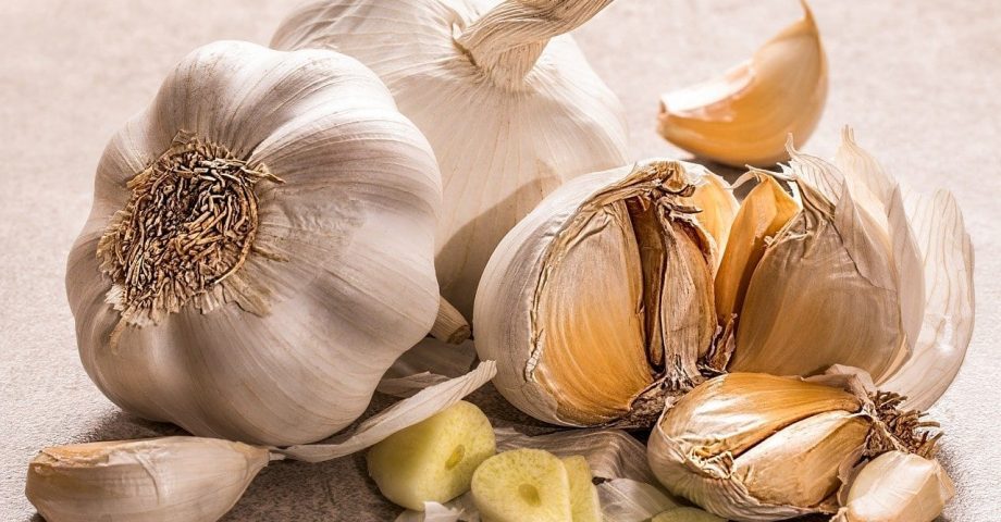 facts about garlic